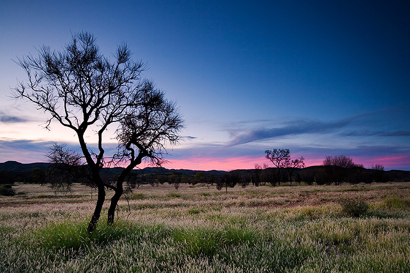 _MG_4599mw.jpg - Pastel Sunset - West MacDonnell Ranges, NT.